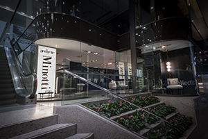 Minotti Hong Kong by Andante